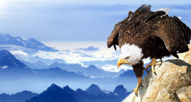 技术:塞班仍然最受欢迎 9款诺基亚高端智能手机